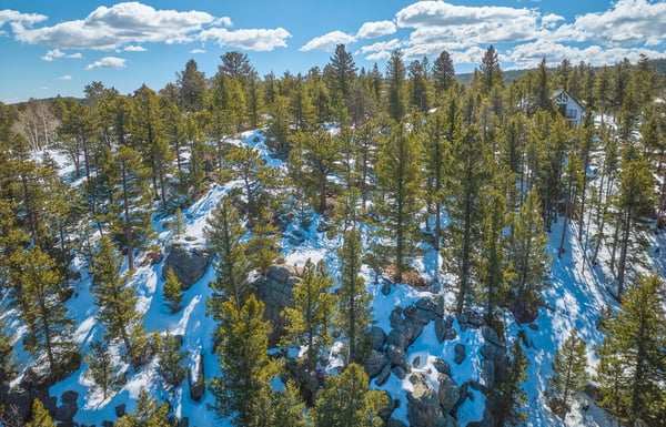815 Cougar Run, Nederland, CO