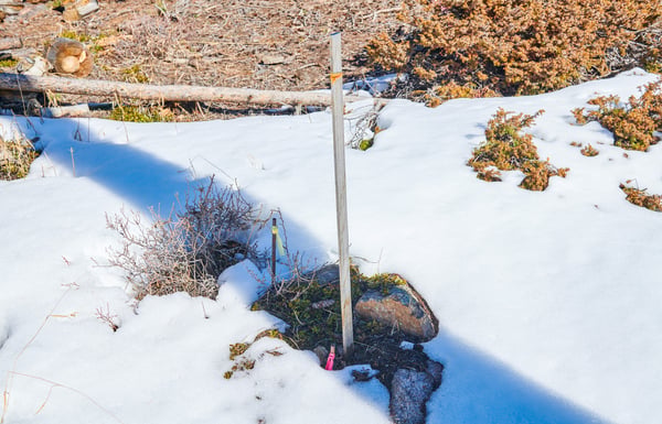 815 Cougar Run, Nederland, CO