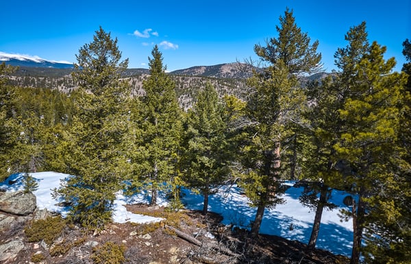 815 Cougar Run, Nederland, CO
