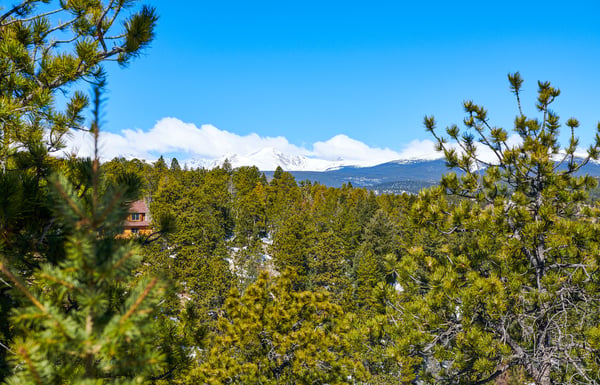 815 Cougar Run, Nederland, CO