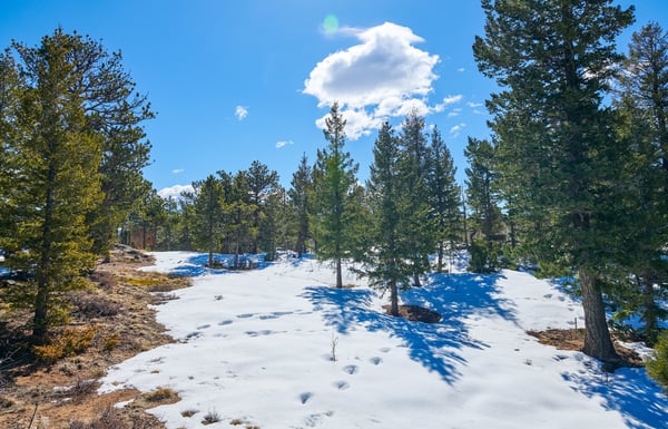 815 Cougar Run, Nederland, CO