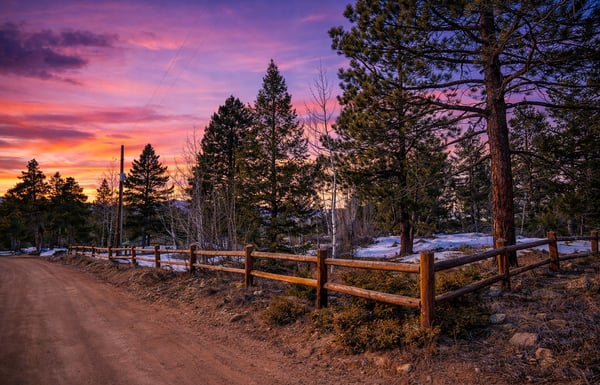 815 Cougar Run - Nederland, CO 80466
