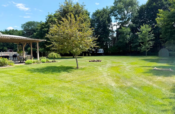 .63 Acre Level, Landscaped Lot