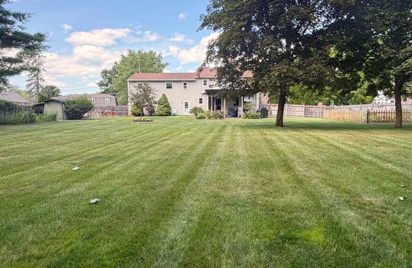 .63 Acre Lot with Huge, Level, Fenced Back Yard