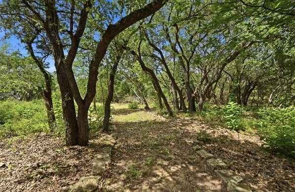 12047 Lincolnshire Drive, Austin, TX