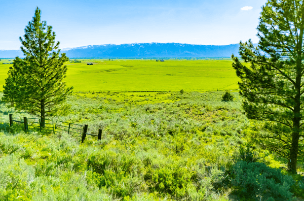 TBD FINLANDIA Tax Lot 6&7 12.12 Acres, McCall, ID