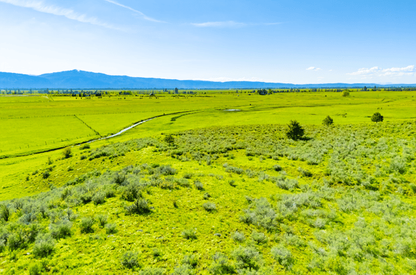 TBD FINLANDIA Tax Lot 6&7 12.12 Acres, McCall, ID