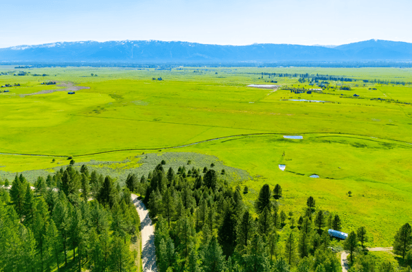 TBD FINLANDIA Tax Lot 6&7 12.12 Acres, McCall, ID