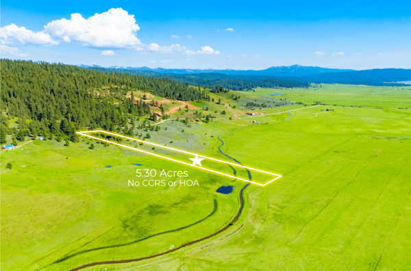 TBD FINLANDIA Tax Lot 6&7 12.12 Acres, McCall, ID
