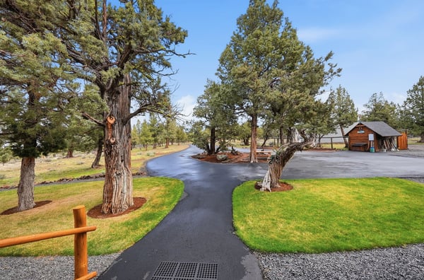 Nestled among towering trees, this property features a spacious driveway and ample room for outdoor activities.