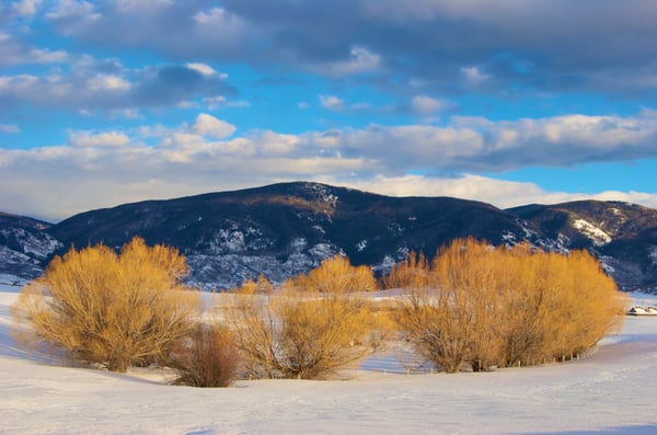 23800 County Road 16, 508, Oak Creek, CO