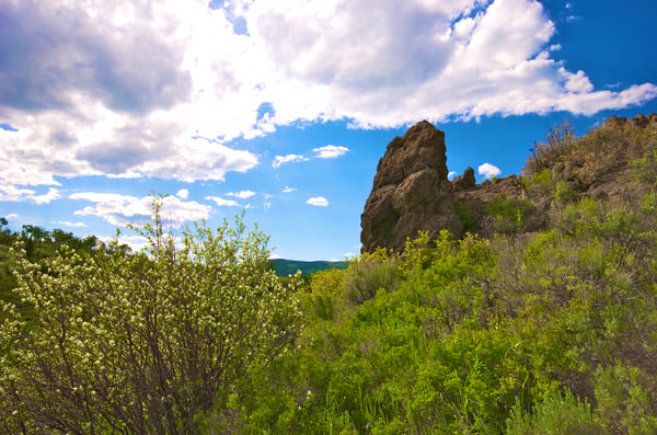 23800 County Road 16, 508, Oak Creek, CO