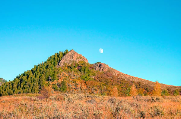 23800 County Road 16, 508, Oak Creek, CO