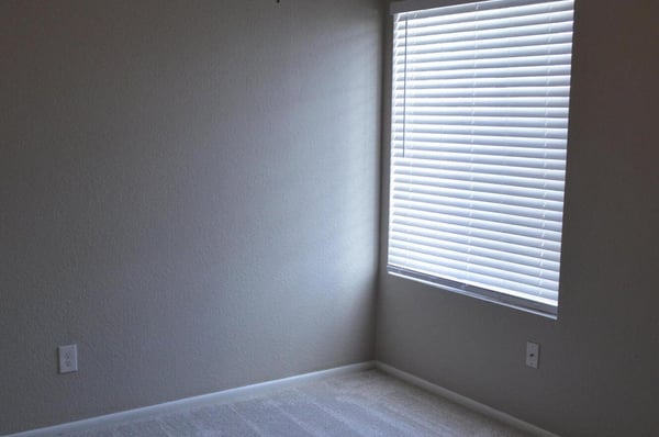 Bright guest bedroom featuring soft new carpeting, neutral colors, ceiling fan, and abundant natural light. A flexible space ideal for visitors, family members, or a dedicated workspace.