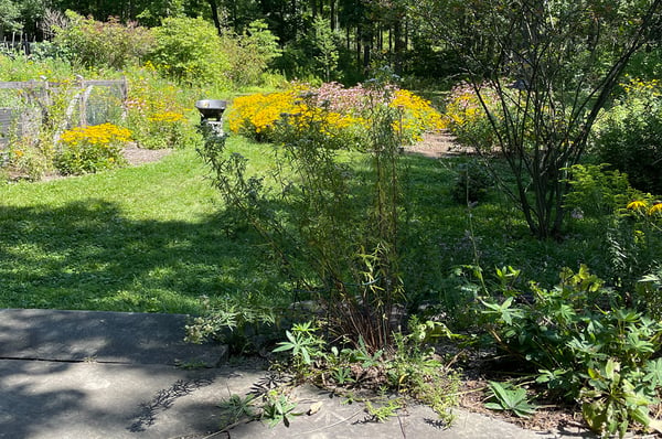 411 Warren Rd, Ithaca, NY