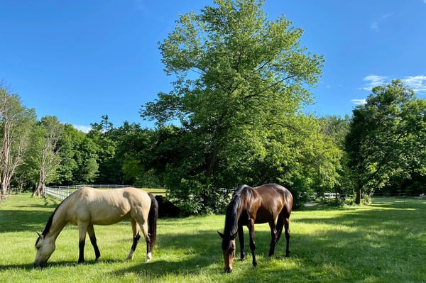 Kairos Spring Farm, 2 Marlboro Road, Stow, MA
