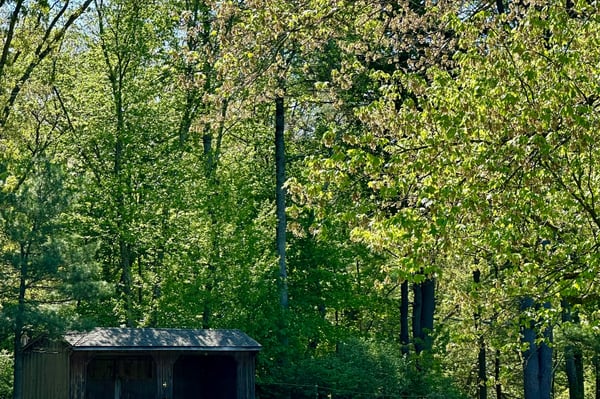 Kairos Spring Farm, 2 Marlboro Road, Stow, MA