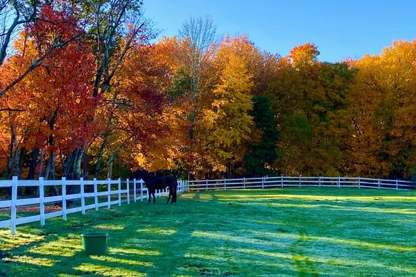 Kairos Spring Farm, 2 Marlboro Road, Stow, MA