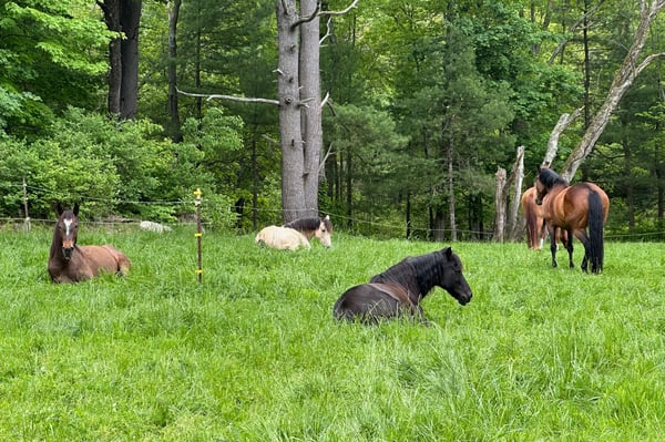 Kairos Spring Farm, 2 Marlboro Road, Stow, MA