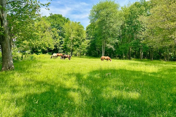 Kairos Spring Farm, 2 Marlboro Road, Stow, MA