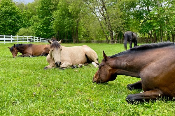 Kairos Spring Farm, 2 Marlboro Road, Stow, MA