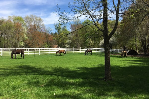 Kairos Spring Farm, 2 Marlboro Road, Stow, MA