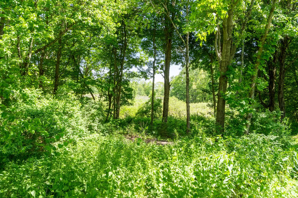 Kairos Spring Farm, 2 Marlboro Road, Stow, MA