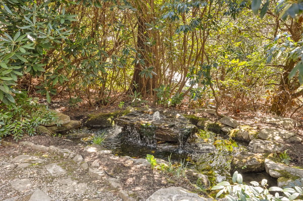 Discover a peaceful retreat with a picturesque stream and lush foliage, perfect for nature enthusiasts.