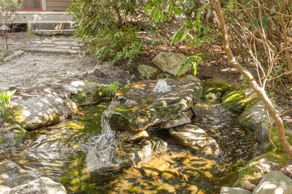 Discover a tranquil outdoor oasis featuring a natural stone water feature surrounded by lush greenery.