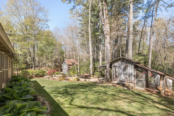 Spacious outdoor area featuring a lush lawn, mature trees, and rustic sheds, perfect for gardening enthusiasts.