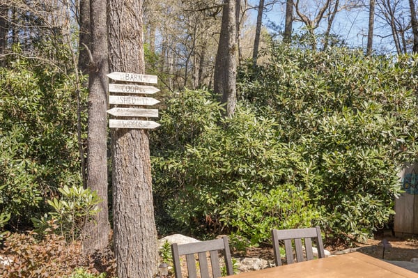 Discover a tranquil outdoor space nestled among mature trees, perfect for relaxation and gatherings.