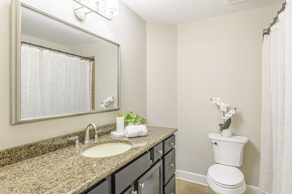 10685 Oxford Mill Circle, Johns Creek, GA