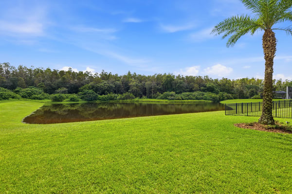 18615 Rue Beauvais, Lutz, FL
