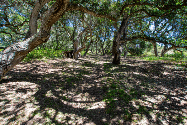 425 Echo Valley Rd, Salinas, CA
