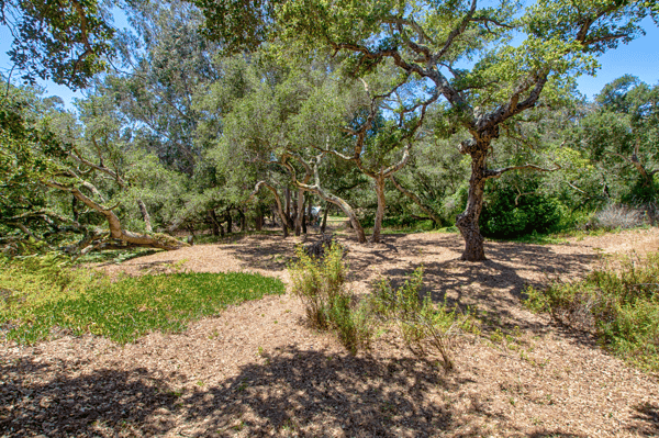425 Echo Valley Rd, Salinas, CA