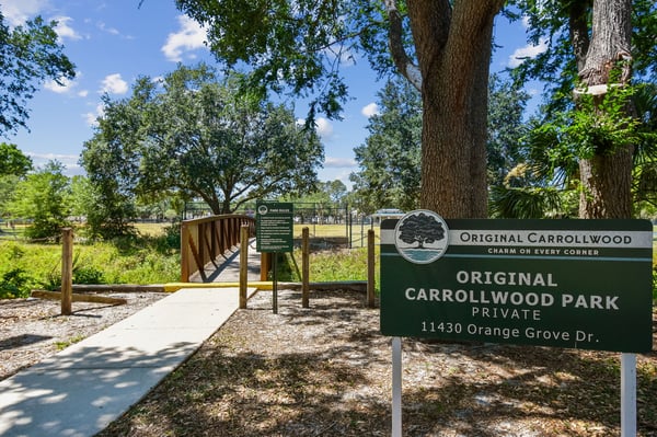 10916 Carrollwood Dr, Tampa, FL