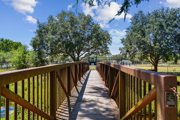 10916 Carrollwood Dr, Tampa, FL