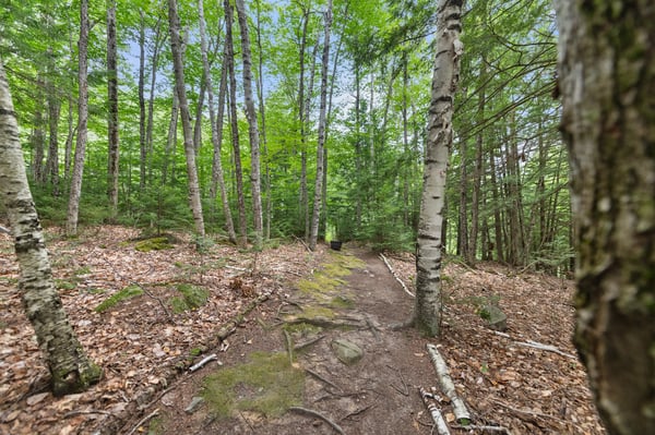 33 Indian Point Road, Hebron, NH