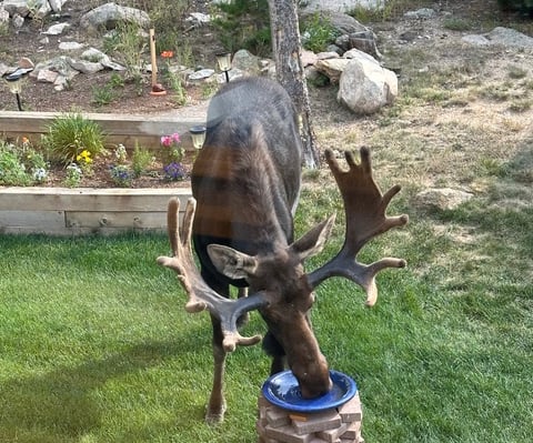 1109 Indian Peak Rd, Golden, CO