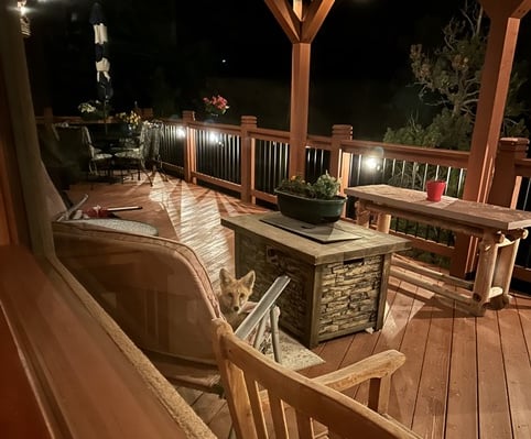 1109 Indian Peak Rd, Golden, CO