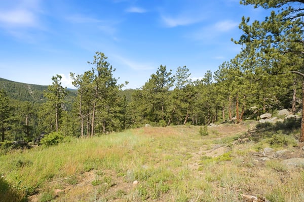 200 Rocky Knob Ln, Nederland, CO