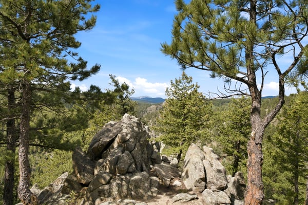 200 Rocky Knob Ln, Nederland, CO