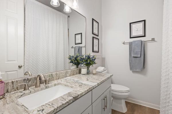 5301 Cardinal Flower Cv, Spicewood, TX