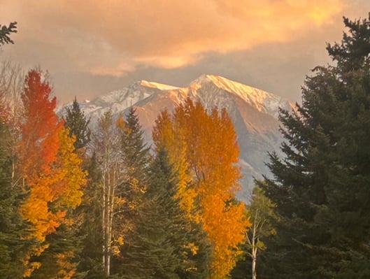 38 Diamond A Ranch Road, Carbondale, CO
