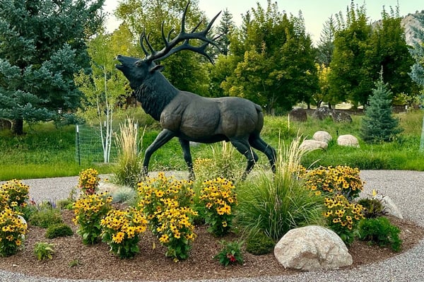 38 Diamond A Ranch Road, Carbondale, CO