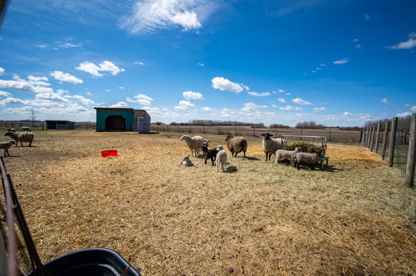 55506 Range Road 254, Sturgeon County, AB