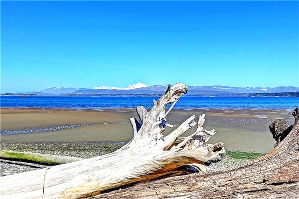 1212 View Street, Camano Island, WA