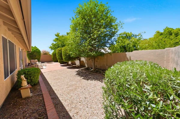 Well-maintained side yard with mature trees and desert landscaping enhances the outdoor appeal and privacy of this thoughtfully designed Peoria property.