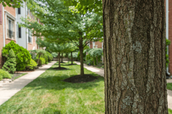 2313 Huntington Station Court, Alexandria, VA
