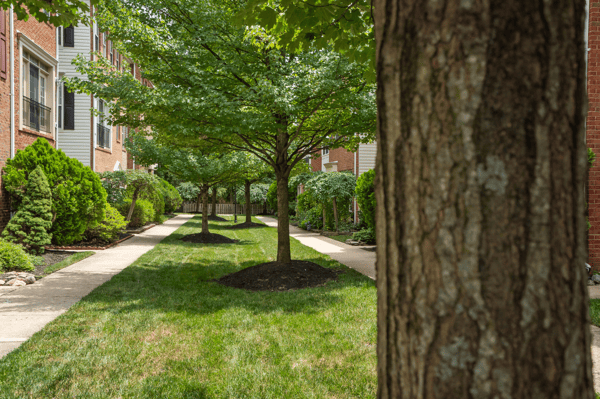 2313 Huntington Station Court, Alexandria, VA